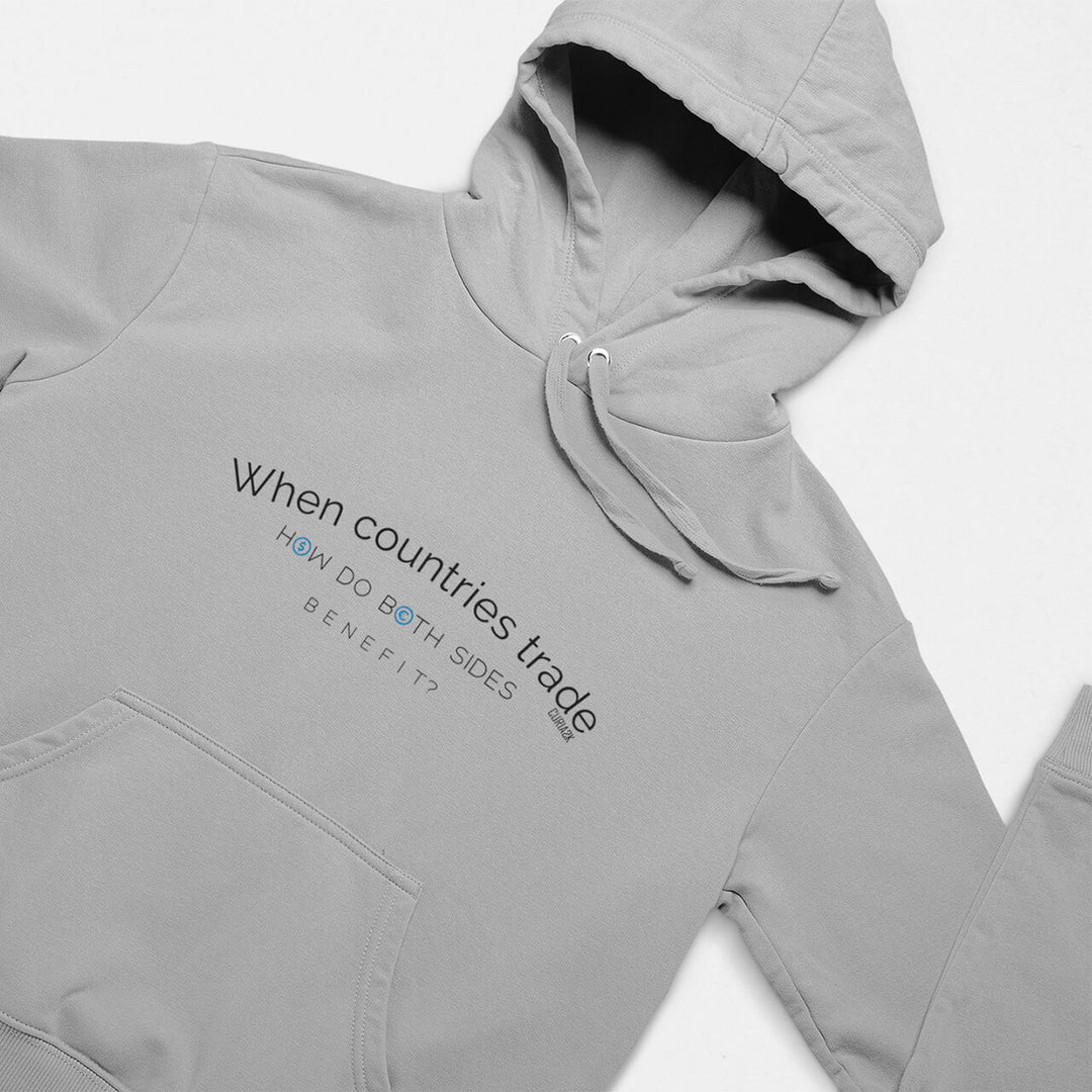 Printed Adult Hoodie with Economy-based Print in Gray | Long Sleeve Soft Graphic Hoodies by Curiask