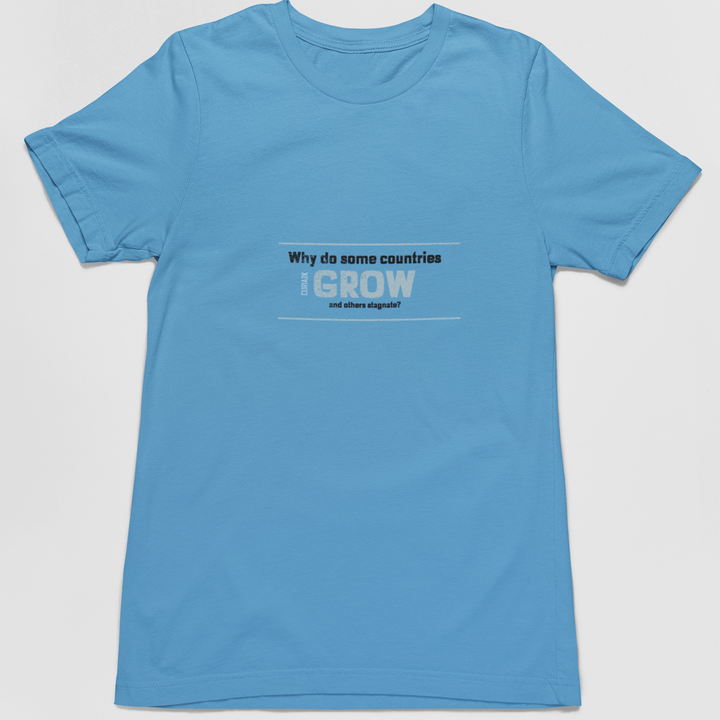 Adult's T-Shirt with Question Why do some countries grow and others stagnate printed on it. Color is Caroline Blue.