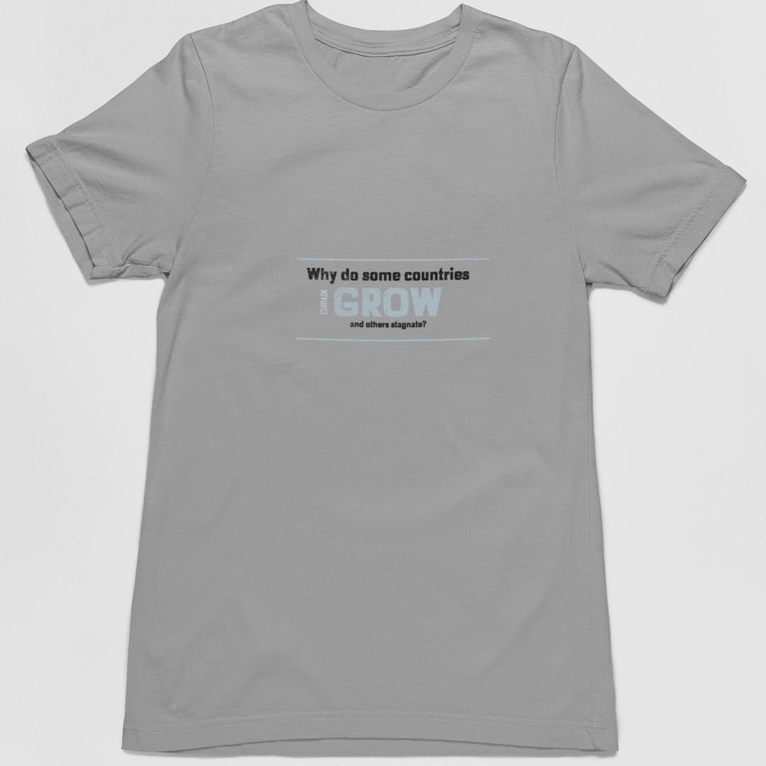 Adult's T-Shirt with Question Why do some countries grow and others stagnate printed on it. Color is Gray.