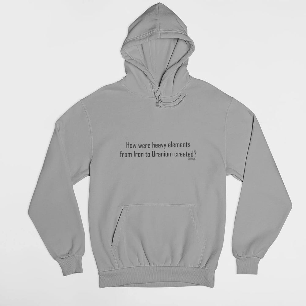 Printed Adult Hoodie with Physics-based Print in Gray | Long Sleeve Soft Graphic Hoodies by Curiask