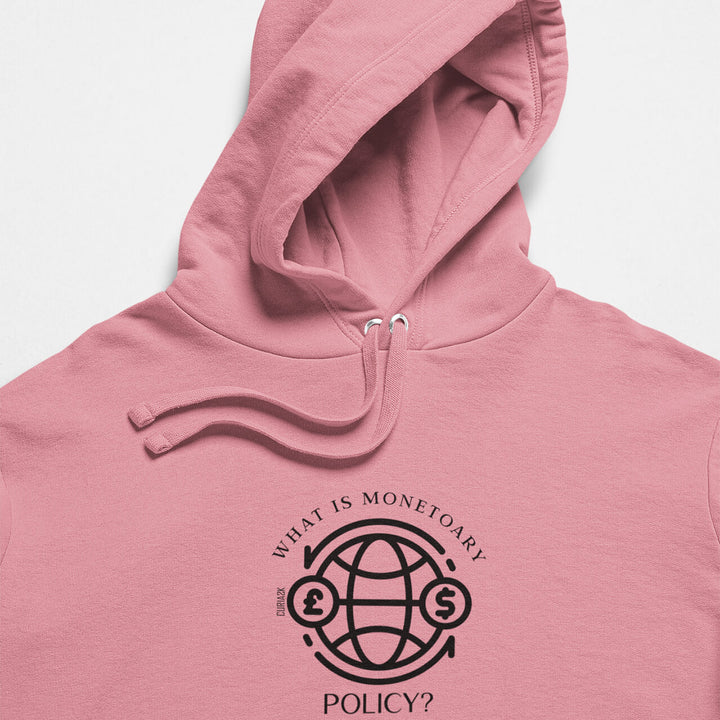 Printed Adult Hoodie with Economy-based Print in Pink | Long Sleeve Soft Graphic Hoodies by Curiask