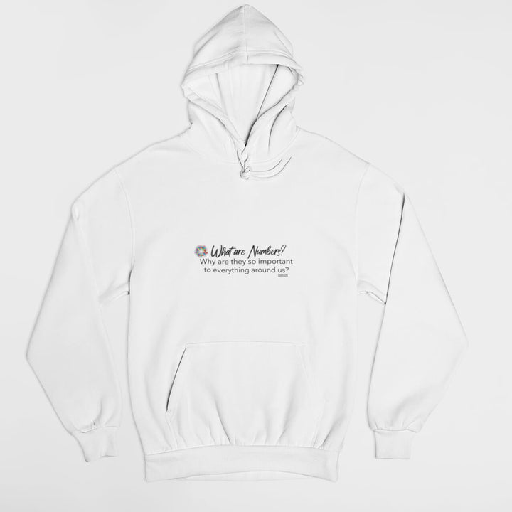 What Are Numbers Hoodie